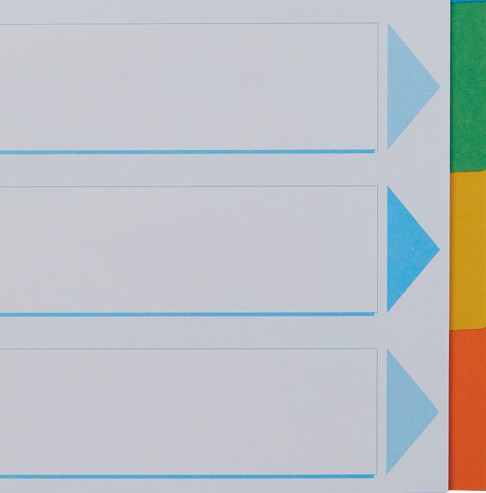 Actual product image Esselte Register cardboard