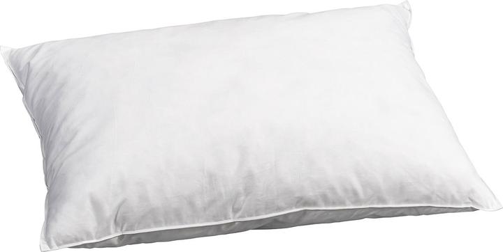 Immagine prodotto Feelings by billerbeck Jasper (50 x 70 cm)