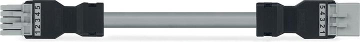 Actual product image Wago Confectionery connecting cable (2 m)
