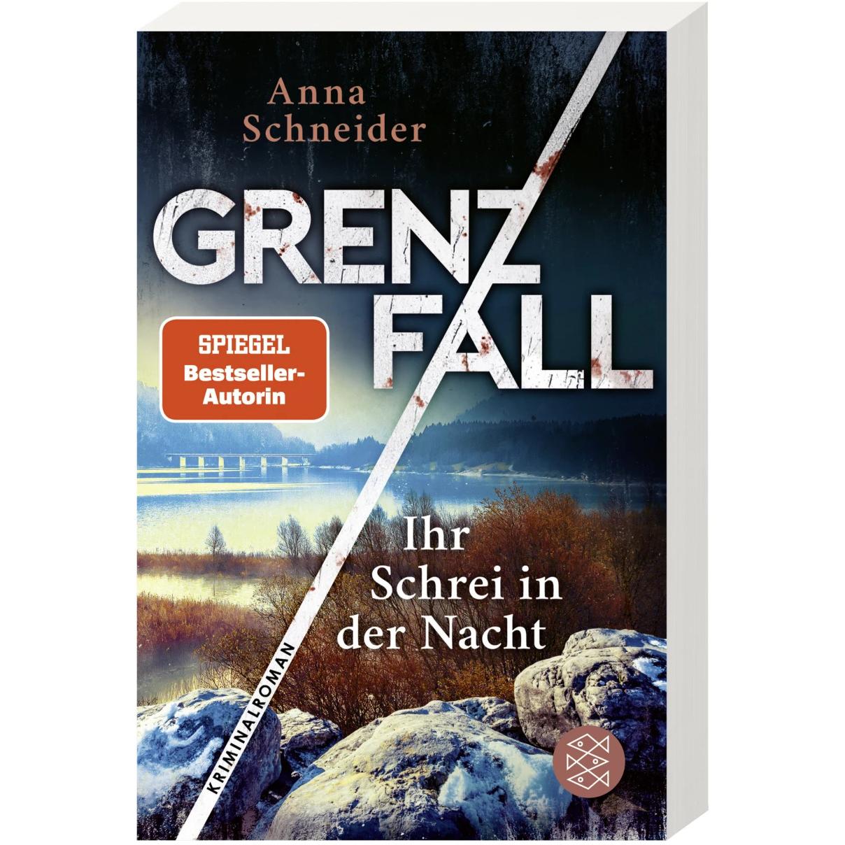 Grenzfall - Ihr Schrei in der Nacht, Belletristik von Anna Schneider
