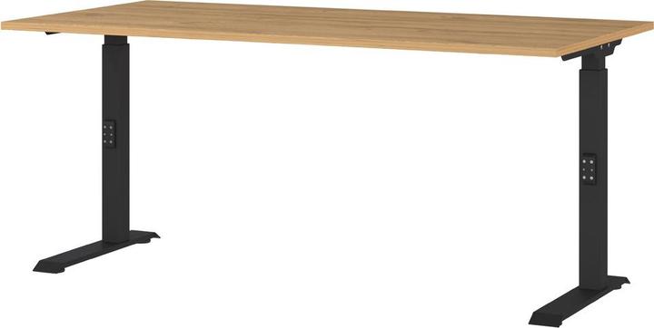 Chêne de Grandson nb.