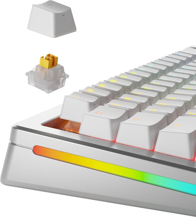 Image du produit Glorious HE Switches (36pcs) - Panda - Silent - (Tactile) 45g