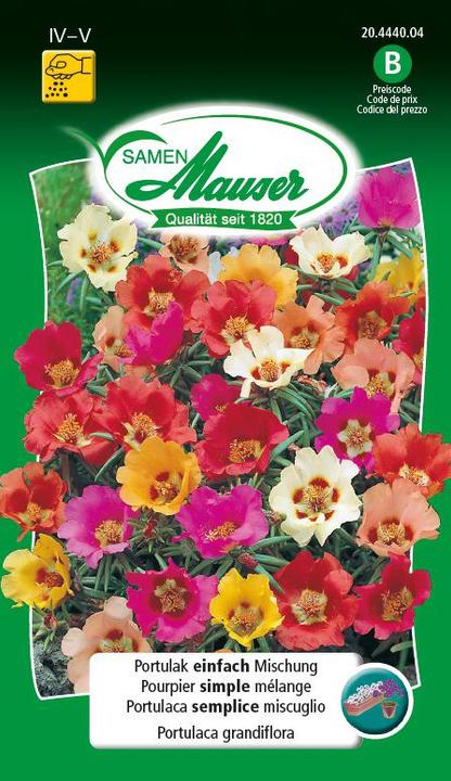 Image du produit Samen Mauser Portulak einfache Mischung (Graines de fleurs)