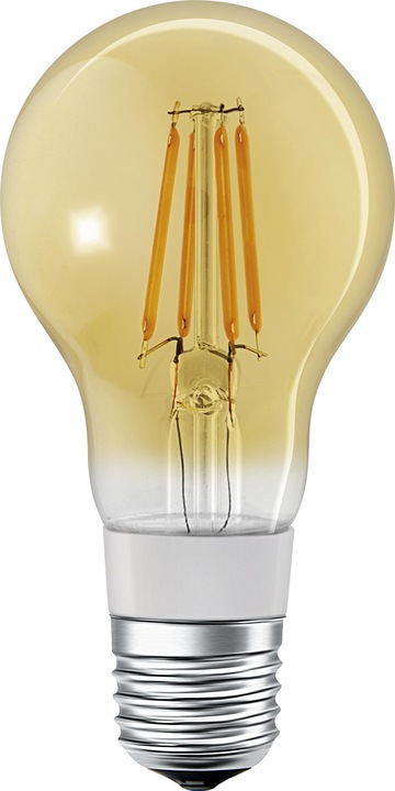Smart+ (E27, 5.50 W, 600 lm, 1 x, E)