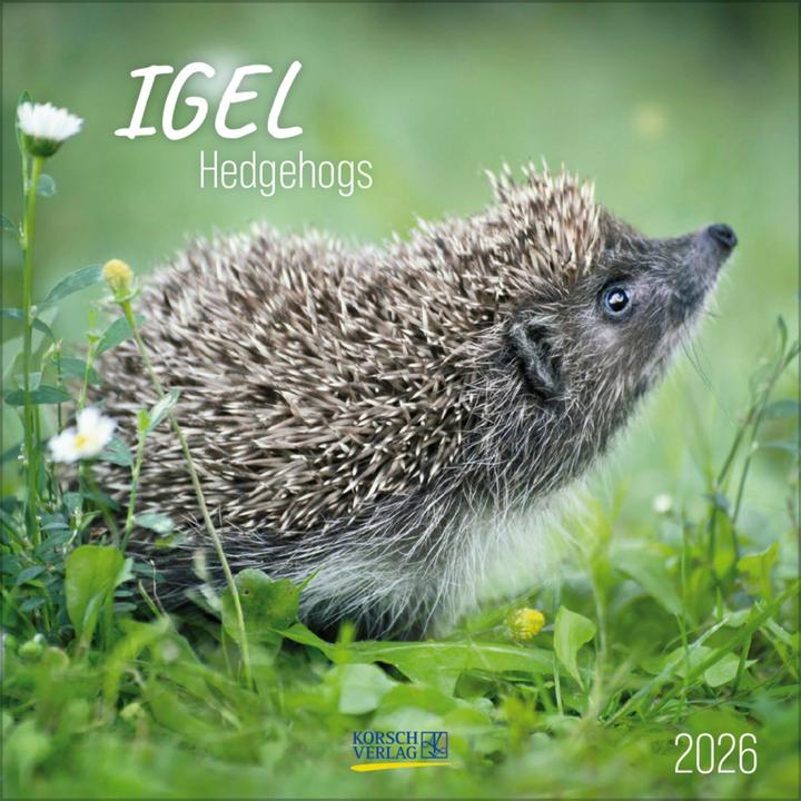 Produktbild Igel2026