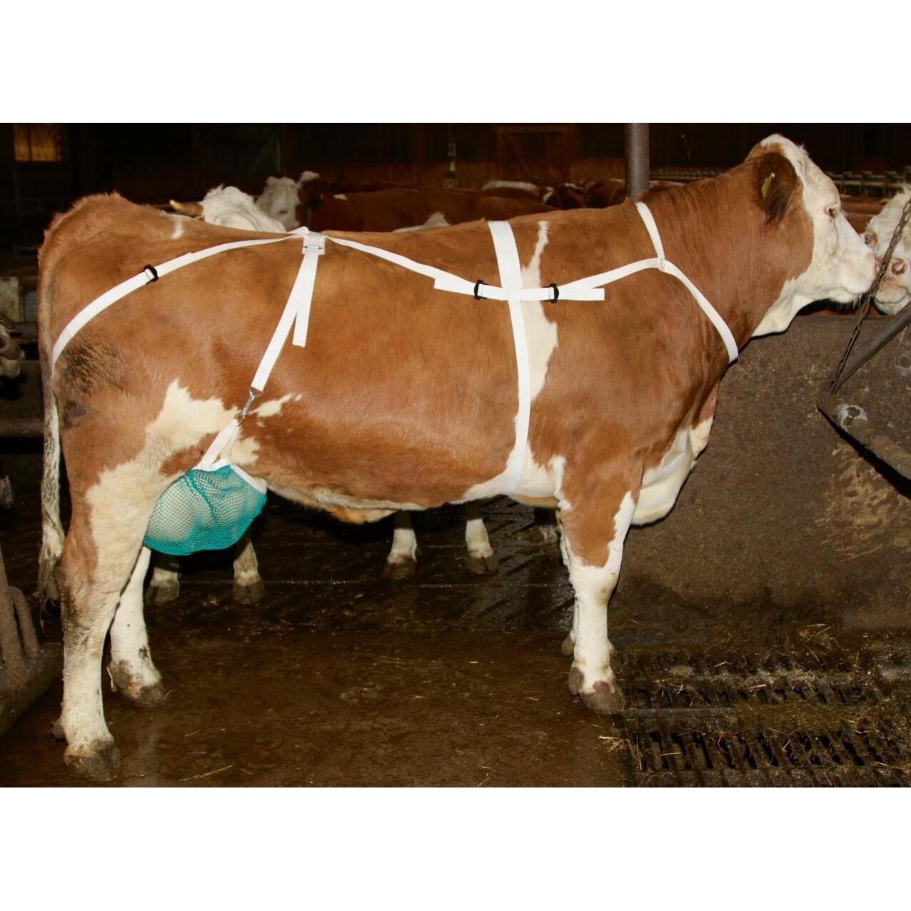 Filet de protection trayons avec sangles Kerbl