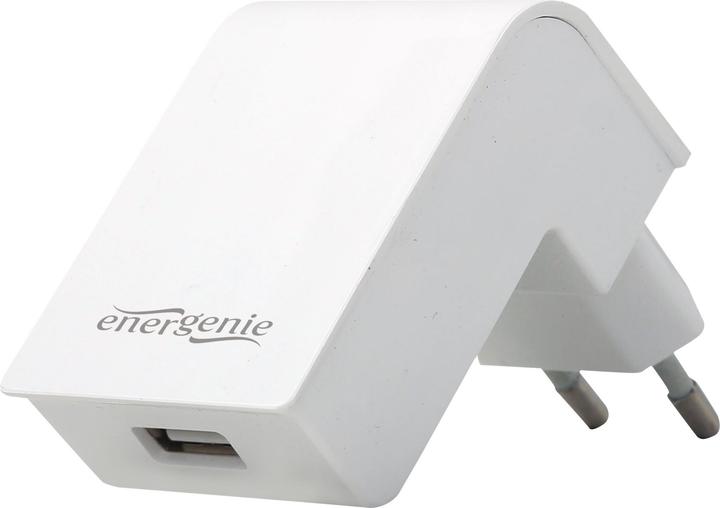 Actual product image Gembird Universal USB charger
