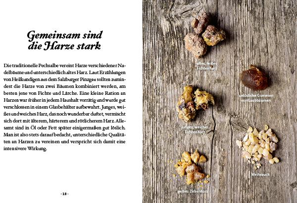 Produktbild Das kleine Buch: Harz- und Pechsalben (Deutsch, Karin Buchart, 2025)