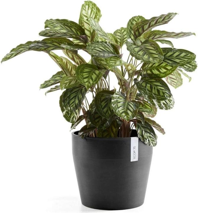Produktbild Ecopots Sankara (40 x 35 cm)