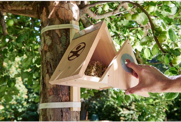 Actual product image Haba Terra Kids Nesting Box Kit