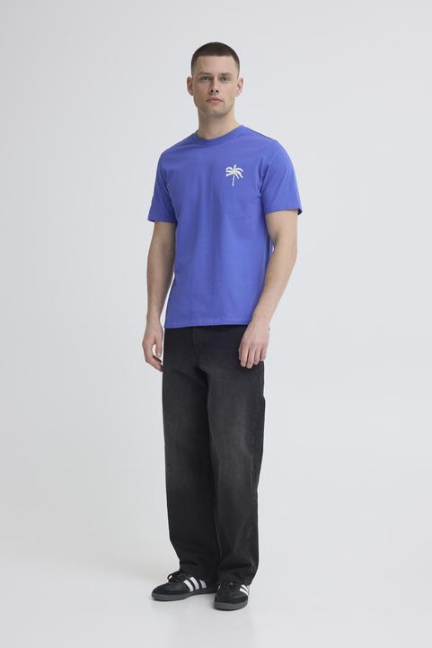 Actual product image Blend Sun Palm (XXL)