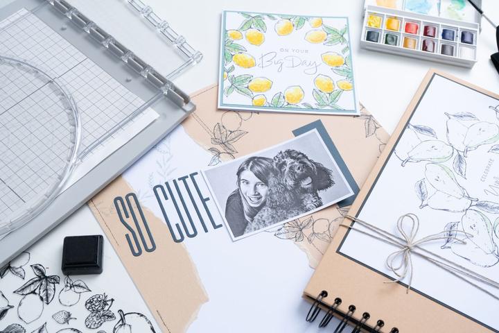 Actual product image Sizzix Stencil & Stamp Tool Accessory - Stamp & Spin Tool