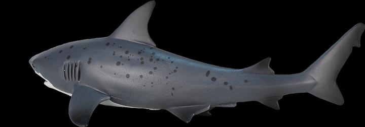 Actual product image Mojo Bull shark