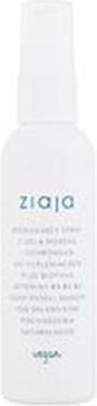 Produktbild Ziaja Limited Summer Modeling Sea Salt Hair Spray - For Wave Support - 90ml (90 ml)