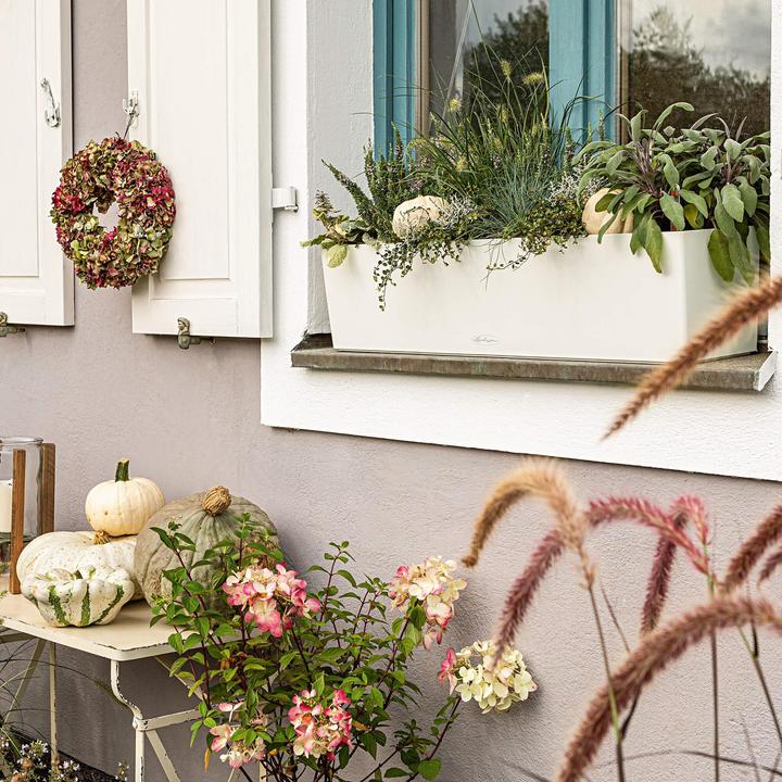 Actual product image Lechuza Balconera (79 x 79 x 19 cm)