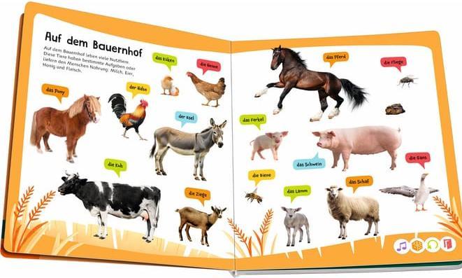 Produktbild Ravensburger tiptoi Kennst du diese Tiergeräusche? (Deutsch)