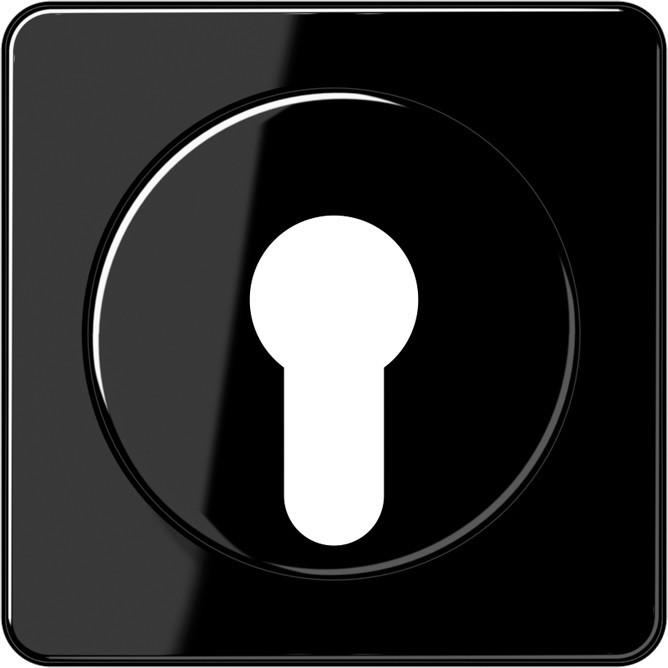 Actual product image JUNG Key/ad switch CD sw glz CD528SW