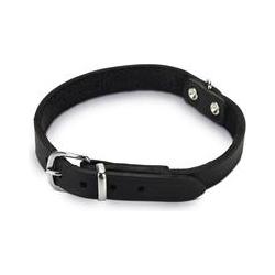 Beeztees Bz Leren Halsband Zwart 42X16 (42, Hond, Algemeen), Kraag + Leiband