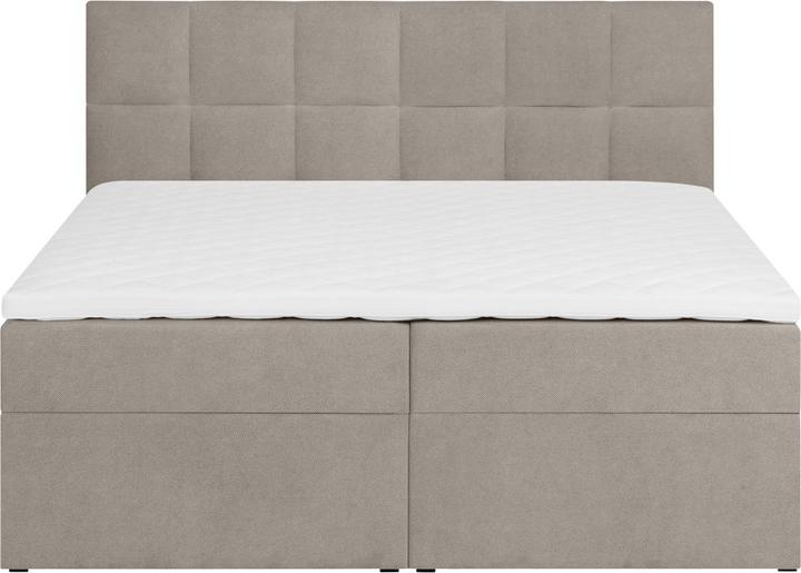 Immagine prodotto Livetastic Lorie (180 x 200 cm)