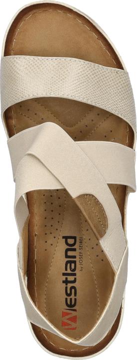 Actual product image Westland 36601-638 (39)