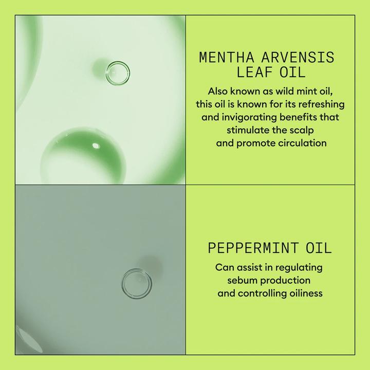 Produktbild Nioxin System 2 Kopfhaut- und Haarkonditionierer (1000 ml)