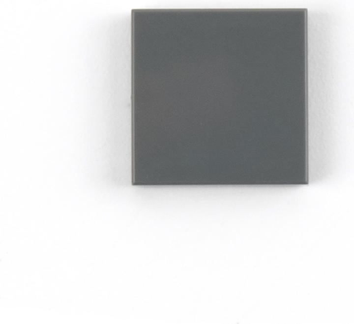 Actual product image LEGO 2x2 Tiles Dark grey - 25 pieces - Dark bluish grey tile 3068b (0, LEGO Accessories)