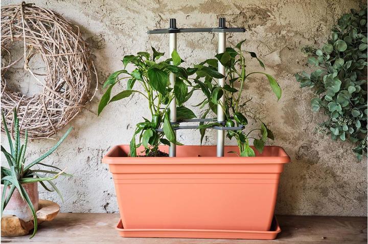 Immagine prodotto Gusta Garden CHILI BUDDY supporto per peperoncini e peperoni, set di 3 pezzi argento (32.20 cm, 22.20 cm)
