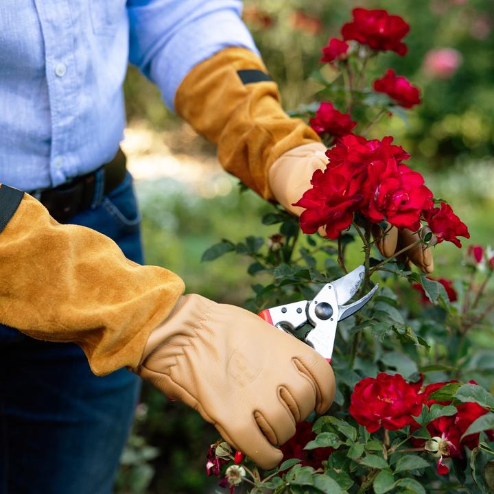 Produktbild Felco 705M Rosenhandschuhe, Grösse M (M)