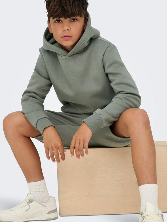 Produktbild Only & Sons Junior Osjceres Shorts Swt Noos (176)