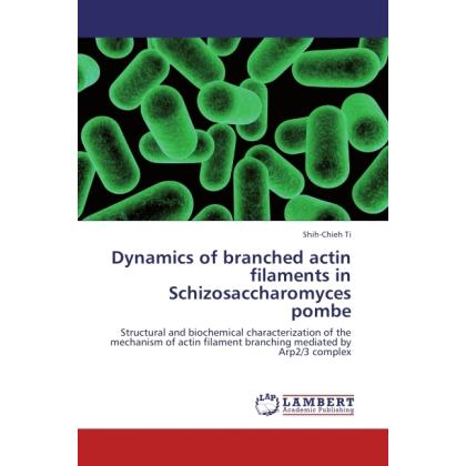 Dynamics of branched actin filaments in Schizosaccharomyces pombe, Fachbücher von Shih-Chieh Ti
