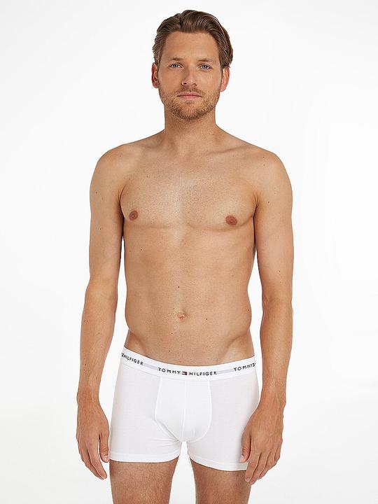 Image du produit Tommy Hilfiger Trunk (XL, Lot de 3)