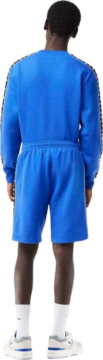 Actual product image Lacoste Mens Fleece Stripe Logo Shorts (XS)