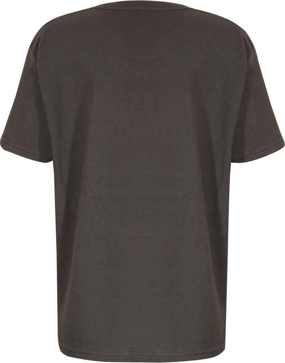 Actual product image Star Wars Avatar – Der Herr der Elemente - Appa - L Grosse (L)