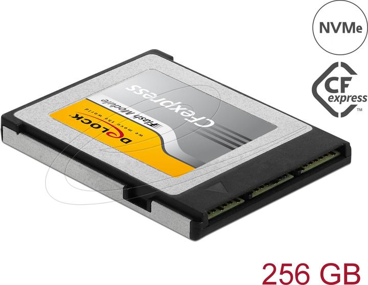 Actual product image Delock 54066 (256 GB, CF)