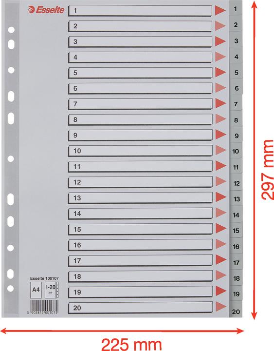 Actual product image Esselte Plastic register