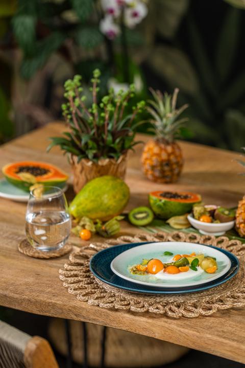 Immagine prodotto Rosenthal Junto - Jungle - Teller 27 cm flach (1 x, 27 cm)