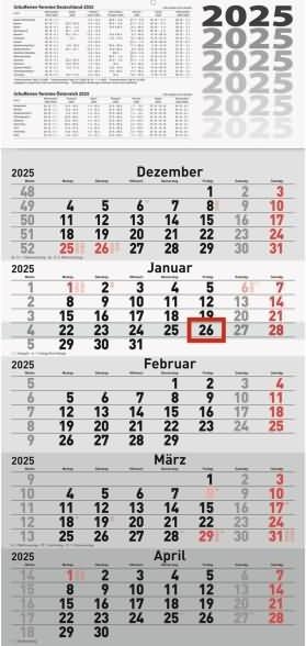 Immagine prodotto Rido Calendario da parete 5 mesi 30x63cm pezzo unico 2025 (Nessuna rilegatura, Tedesco)