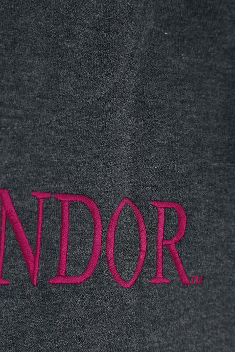 Actual product image Gryffindor Sport (M)