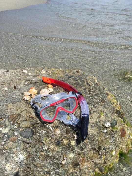 Image du produit Schildkröt Kit de plongée FIJI en 2 parties