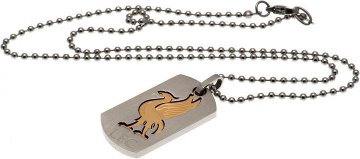 Score Draw Ausschnitt Erkennungsmarke und Kette (100% Edelstahl)