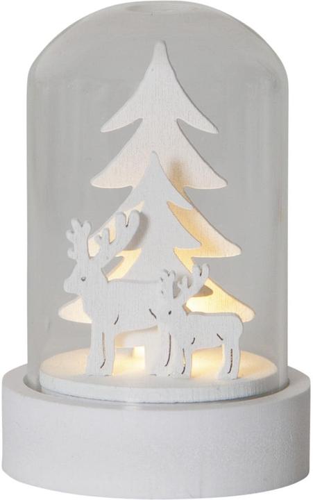 Image du produit Star Trading Kupol