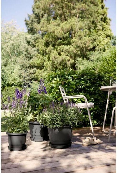 Actual product image Elho Amiga Round (39 x 29 cm)