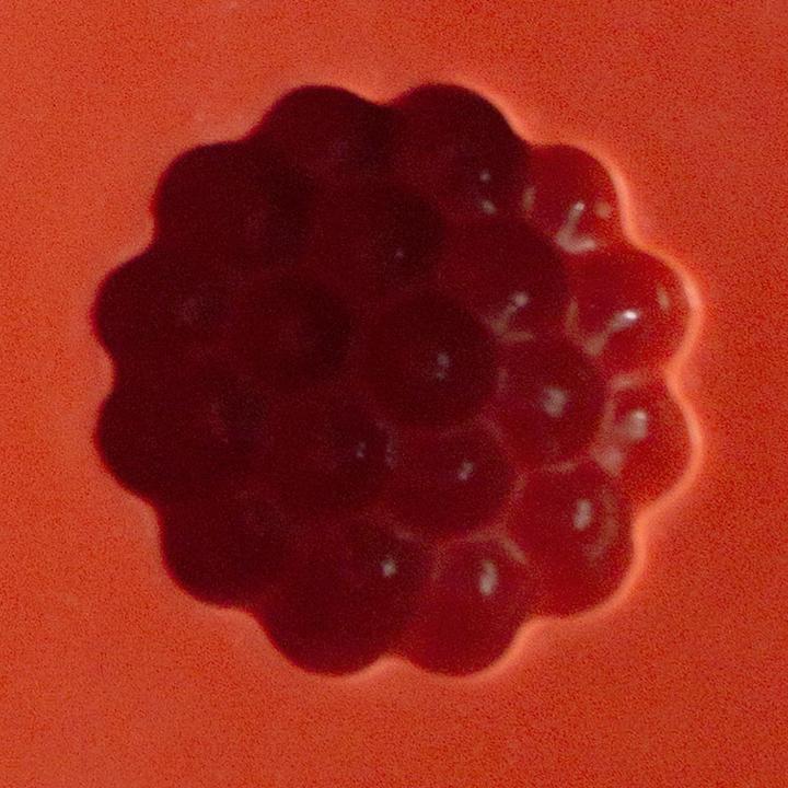 Produktbild Martellato Giessform für Gelee Beeren