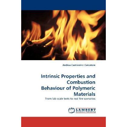 Intrinsic Properties and Combustion Behaviour of Polymeric Materials, Fachbücher von Andrea Castrovinci Cercatore