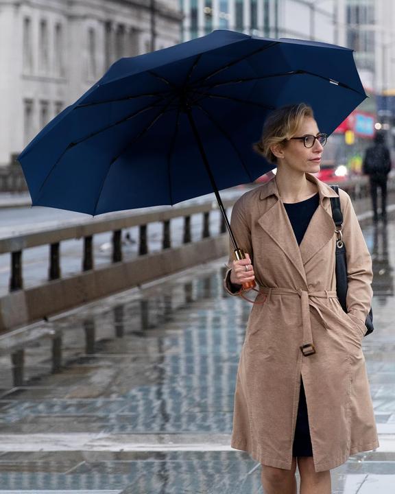 Produktbild Alopini Automatischer grosser sturmsicherer Regenschirm, Taschenschirm mit belüftetem Doppeldach und