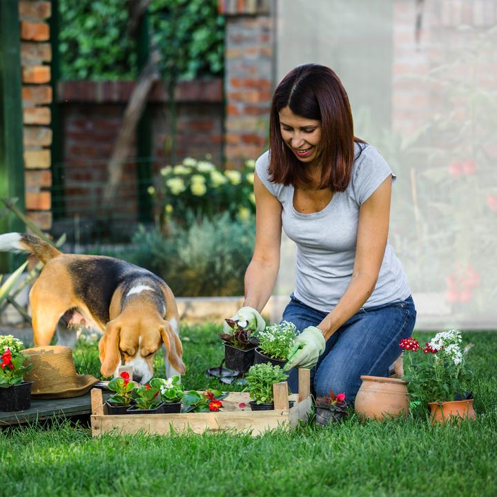 Produktbild Relaxdays Tomatengewächshaus