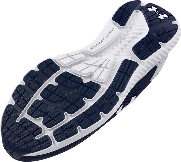 Produktbild Under Armour Charged Rogue 3 (44.5)