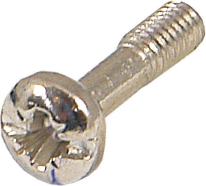 Actual product image Schroff neck screw with cross slot/slot - neck screw m.kr.m2.5 ni 100st