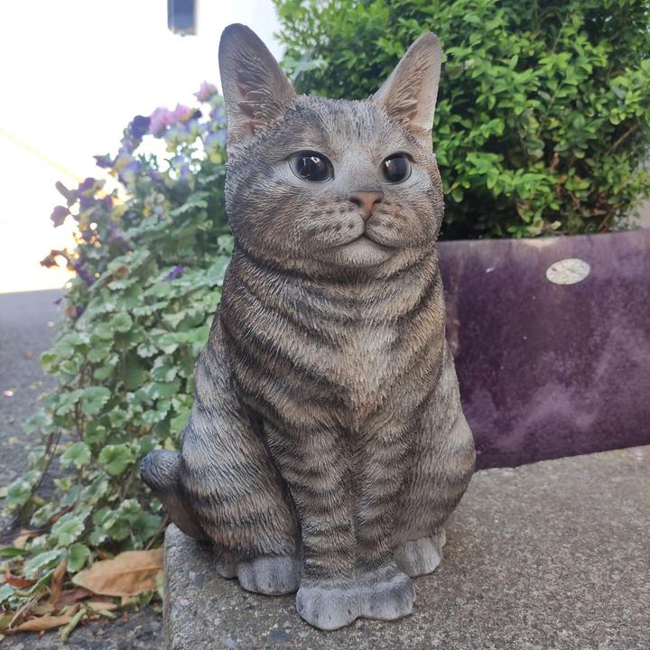 Actual product image Cat Tabby
