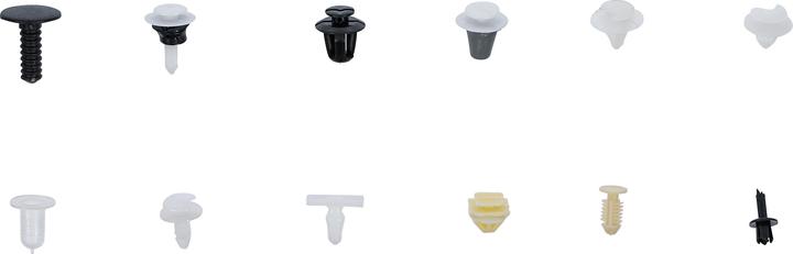 Immagine prodotto BGS assortimento